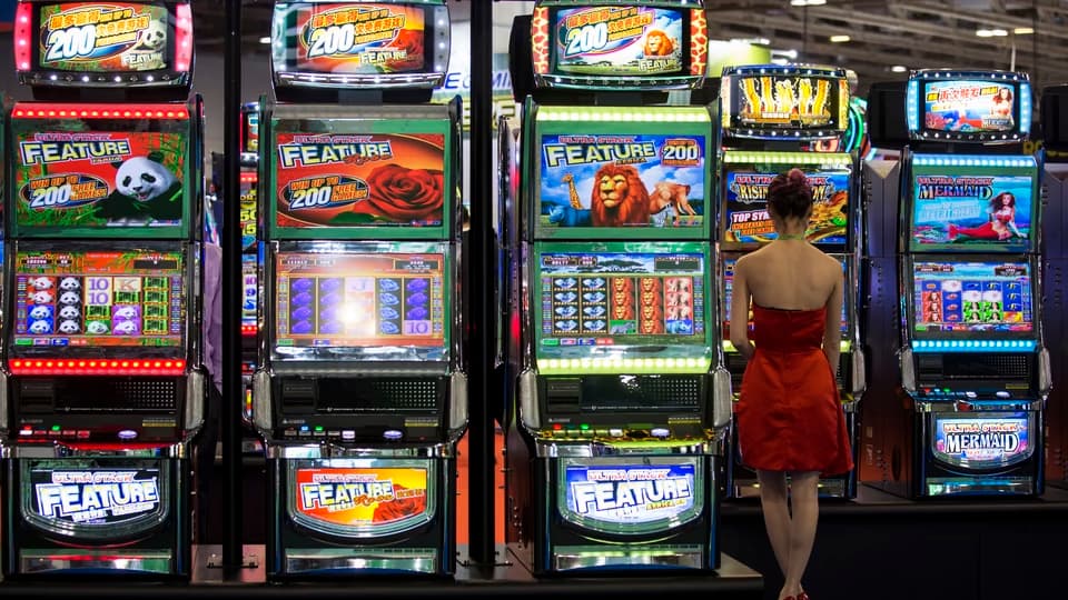 Software Providers in the Online Casino